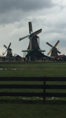 Windmills in Zaanse Schans, Ntherlands